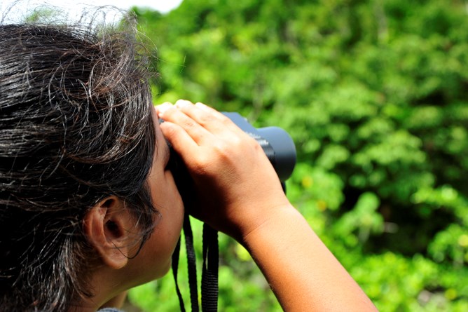 Field trips -- birdwatching acivities