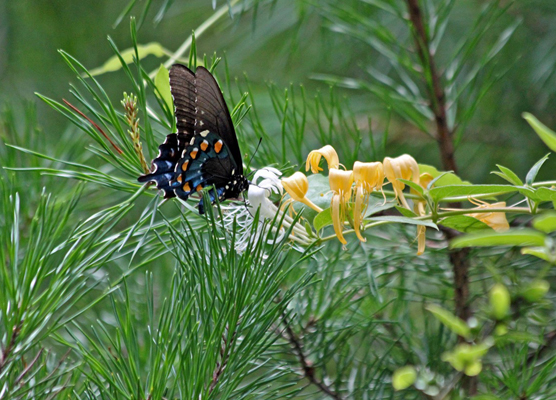 Jordan556_Ken_Seeking-Out-N