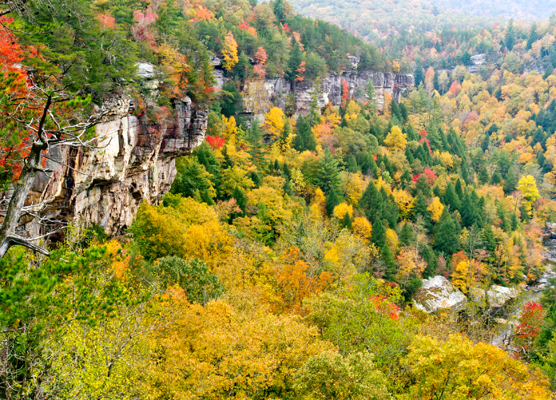 Large556_Mark_Fall-In-The-O