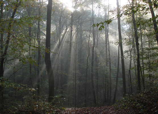 wilson556_marialice_Early-F