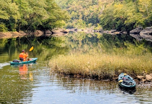 Paddle Emory - obed