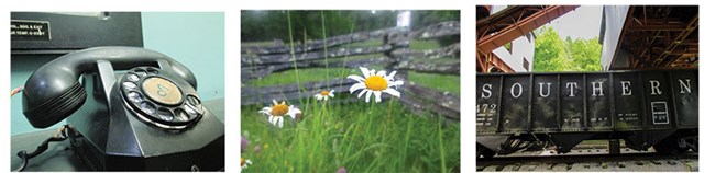 Parks in Focus images