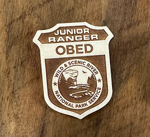 Wooden jr ranger badge