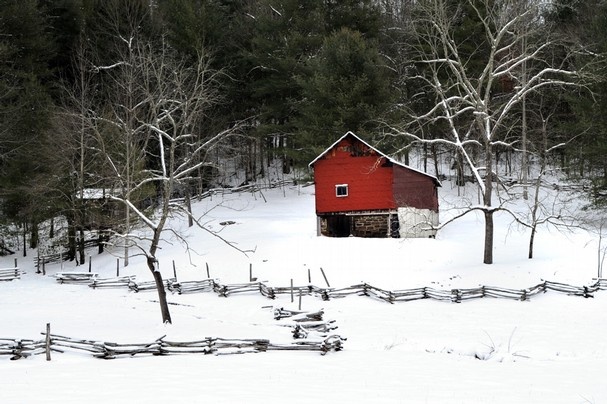 Cabin at John Litton Farm