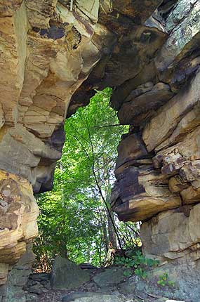 Arch in park