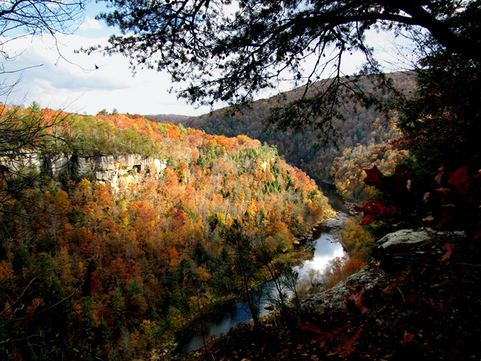 Christen_Hans_Breakaway-Fall_Landscape-(2)