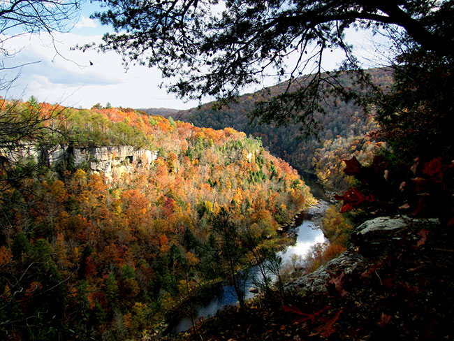 Breakaway Bluff