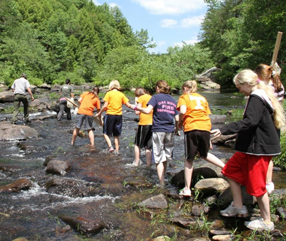 CrittersUSE-in-Creek-2-Pict