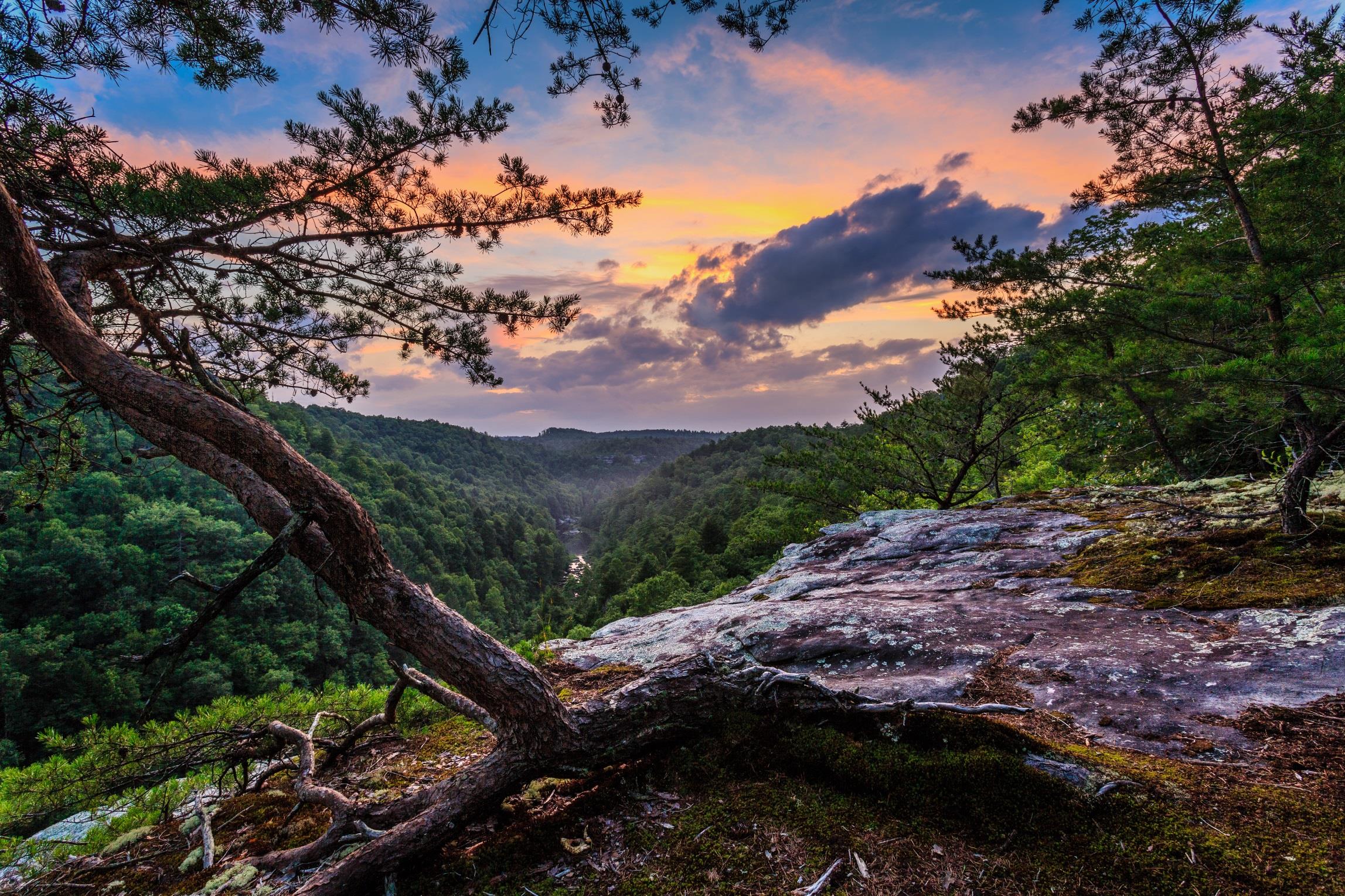 Sunset colors of orange, yellow and blue reflect in background of overlook with small tree