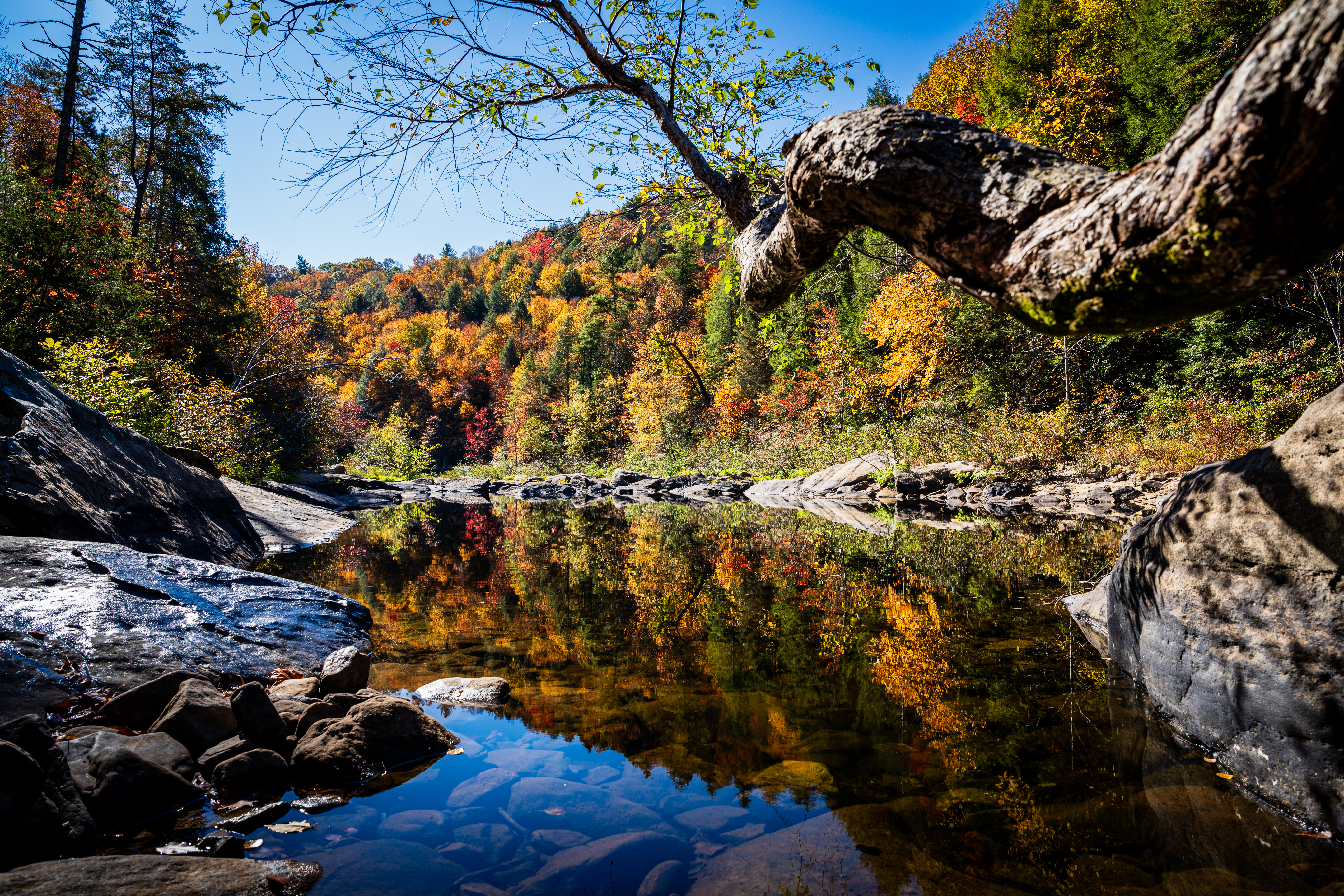 Close up of the river with fall color trees reflect in the water.