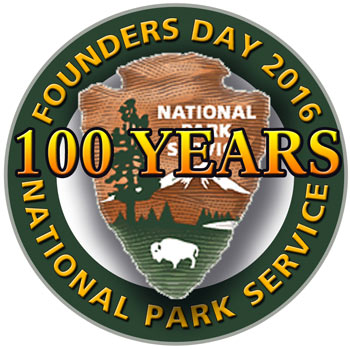 NPS 100