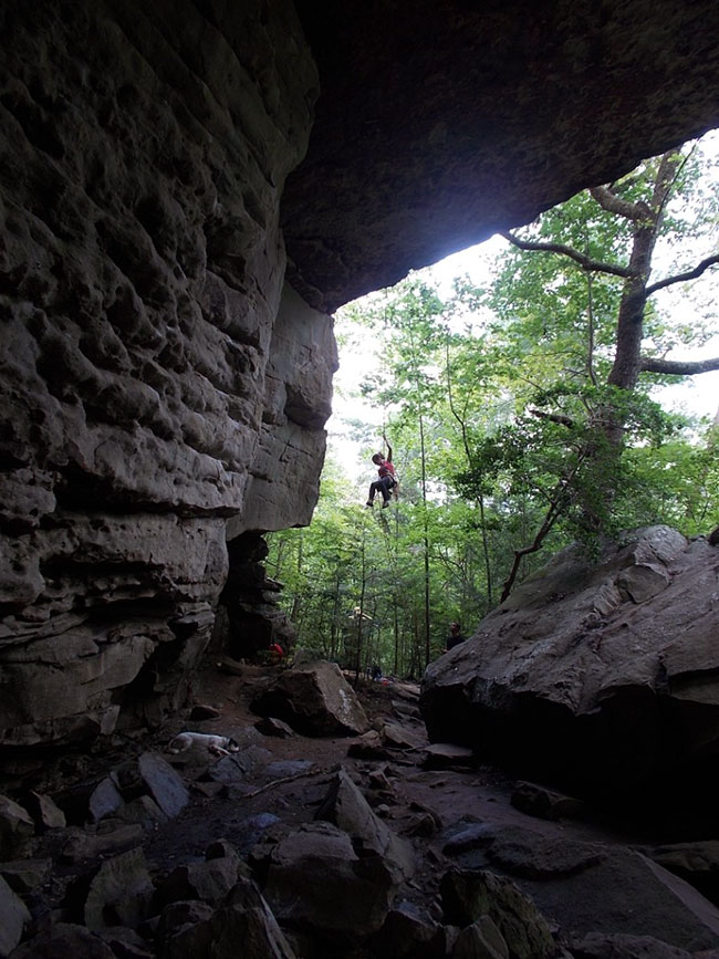 SK-Library-Climber-Photo