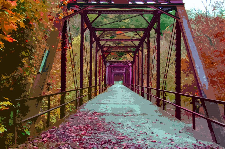 Nemo Bridge