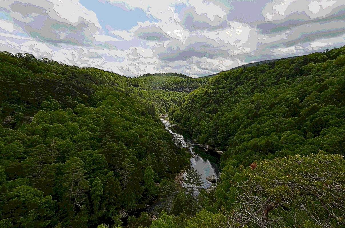 Overlook view of green