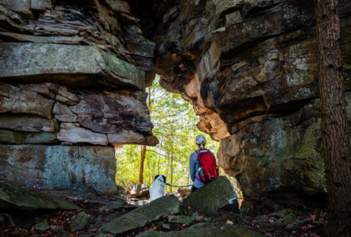 A woman and dog sit next to each other center frame, looking through a sunlit sandstone arch in a forest.