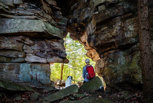 Taking a Break A woman and dog sit next to each other center frame, looking through a sunlit sandstone arch in a forest.
