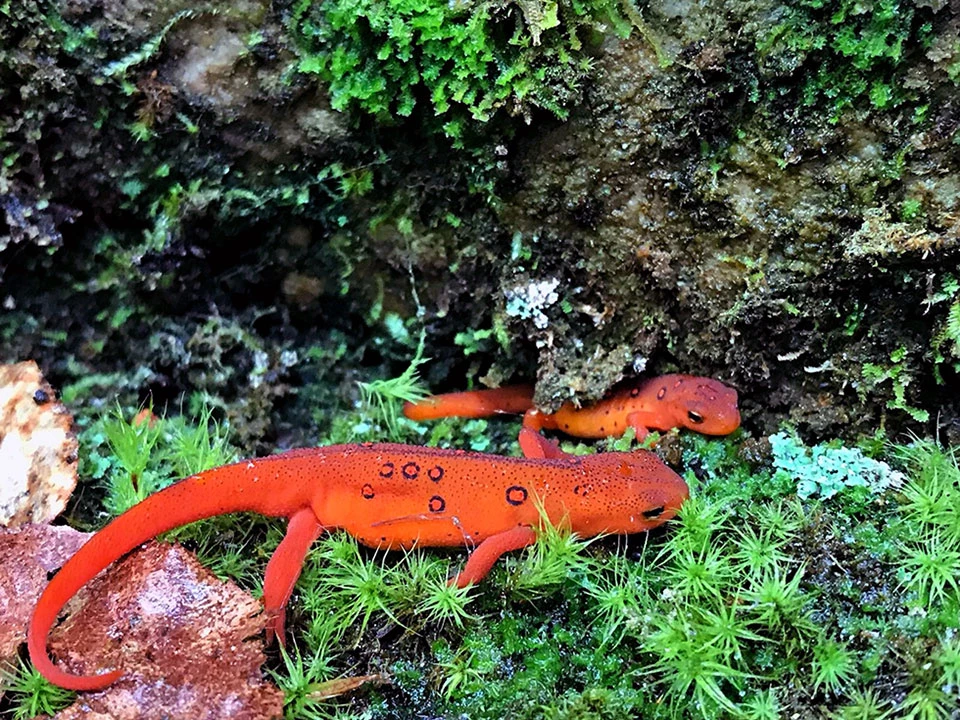 Youth, Holding-Hands,-Lilly-McDonald Youth, Holding-Hands,-Lilly-McDonald