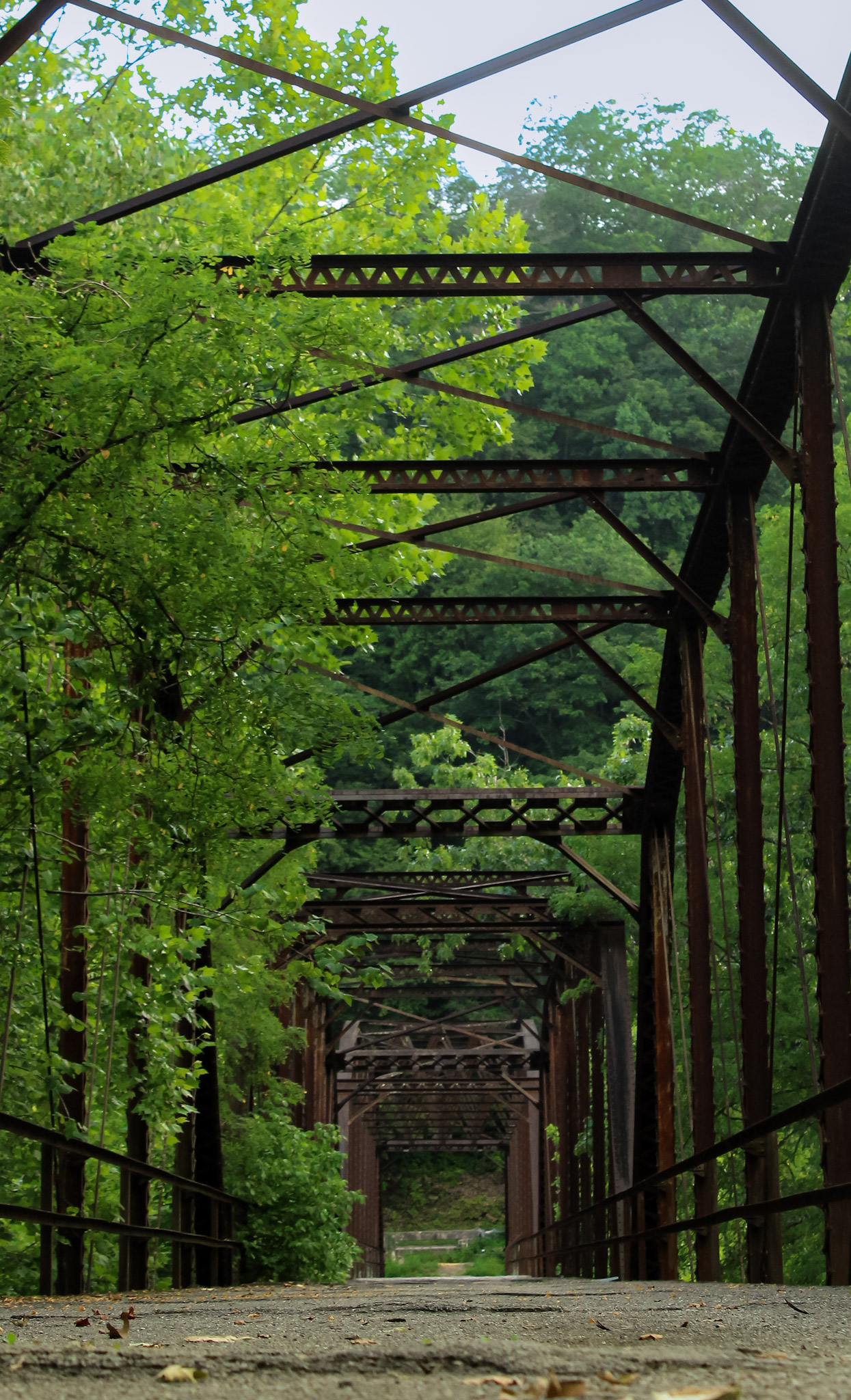 Iron Truss Bridge with Forest
