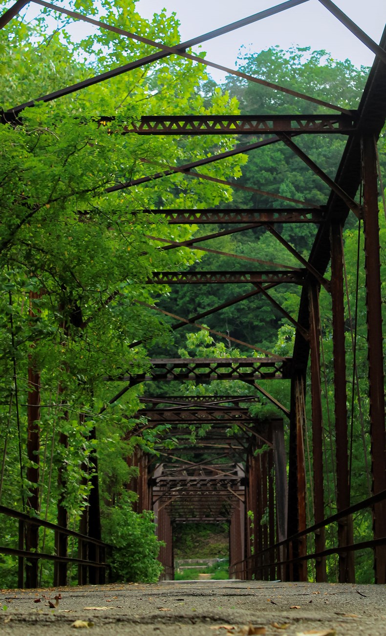 Iron Truss Bridge with Forest