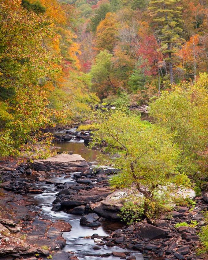 Fall colors over the river