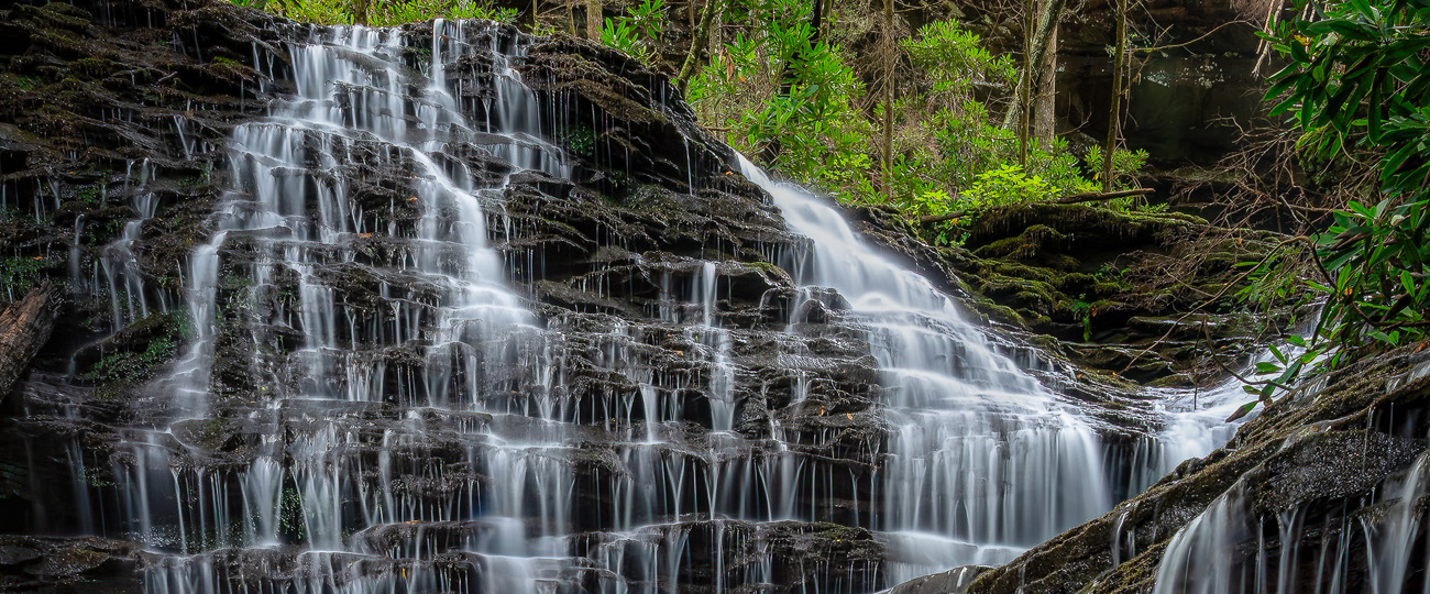 A waterfall flows down sheets of dark slate. Shrubs and trees are seen above the waterfall, near the top of the photograph.