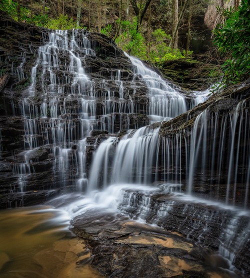 A waterfall flows down sheets of dark slate. Shrubs and trees are seen above the waterfall, near the top of the photograph.