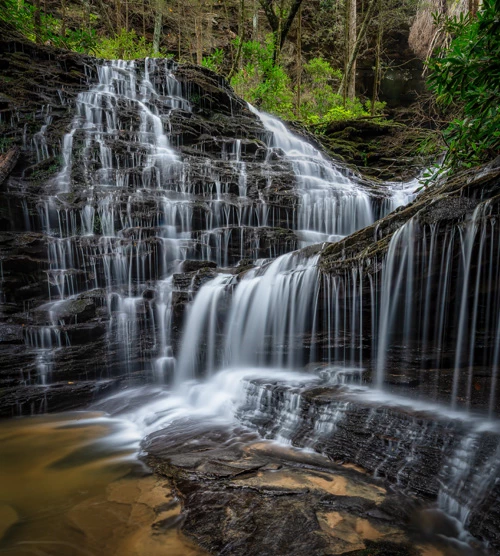 Rick McCulley - Landscapes A waterfall flows down sheets of dark slate. Shrubs and trees are seen above the waterfall, near the top of the photograph.