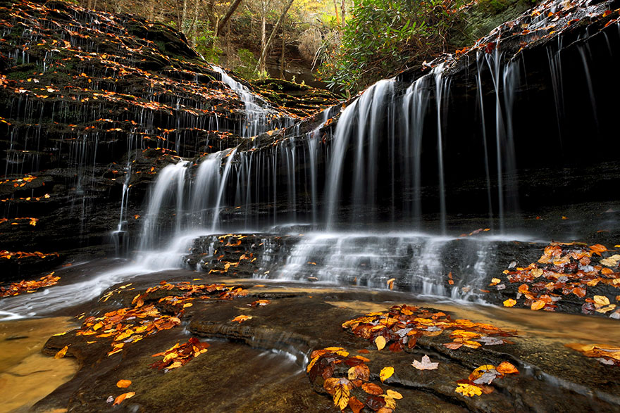 Tracey_Travis_Autumn-Fallen_Landscapes-web