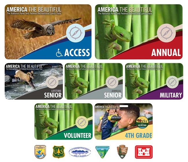 multi-colored passes with photos of wildlife and a child