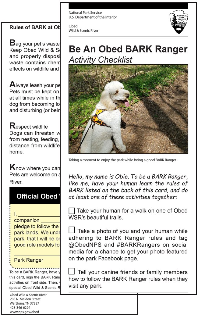 BARK Ranger Rack Card