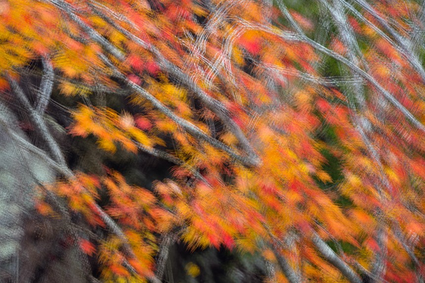 Artistic – Fall Painting