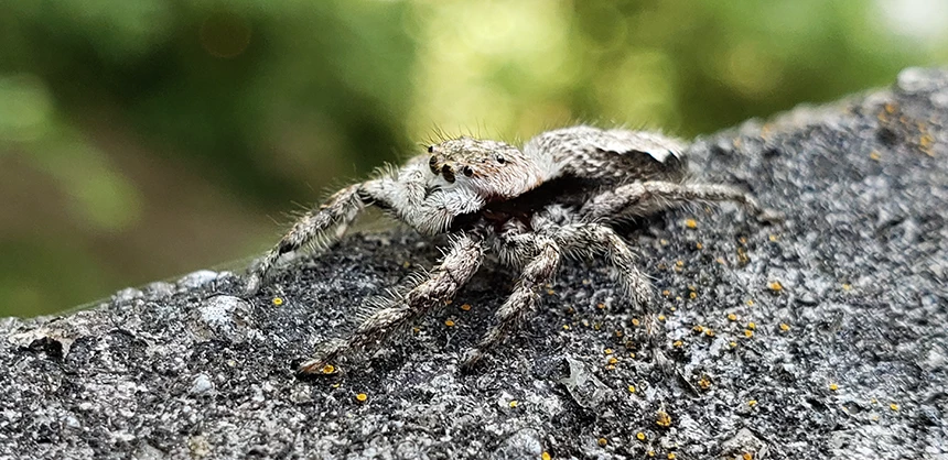 First-Place---Flora-Fauna First-Place---Flora-Fauna