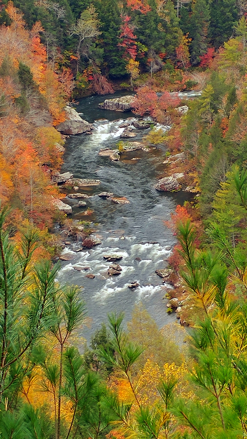 First-Place--Landscape