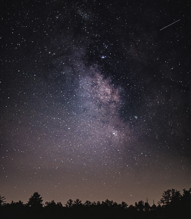 A dark group of trees sit low, as numerous stars shine in the night sky overhead.