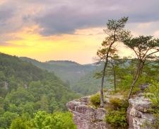 Rocky bluff covered in small trees in front of a river valley.