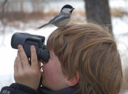 birdwatching2tu9-300x220