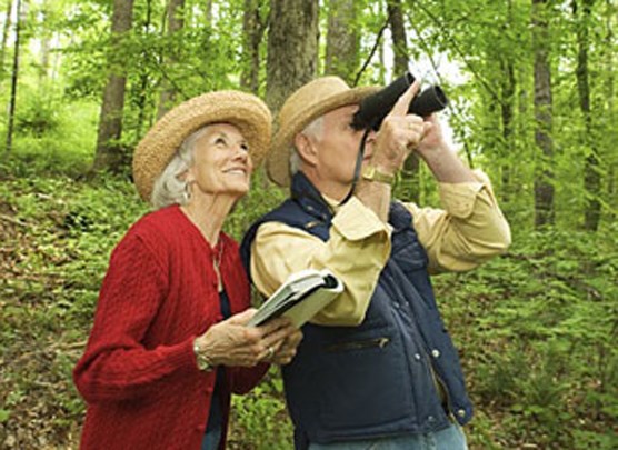 birdwatching_lg