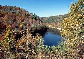 Autumn River Scene