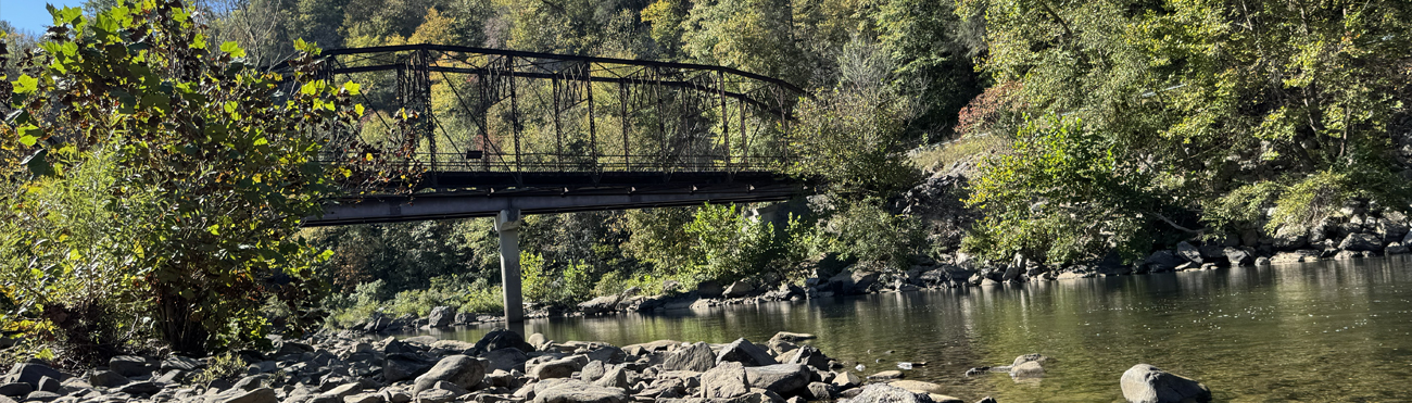 View of Nemo Bridge surrounded by green foilage.