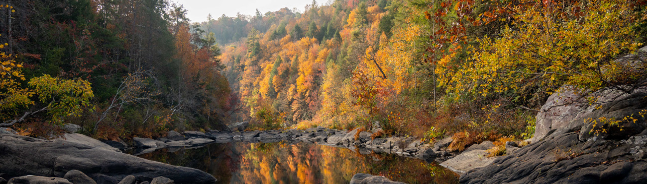 fall colors reflecting on water