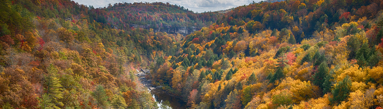 Lilly Bluff Overlook in the fall