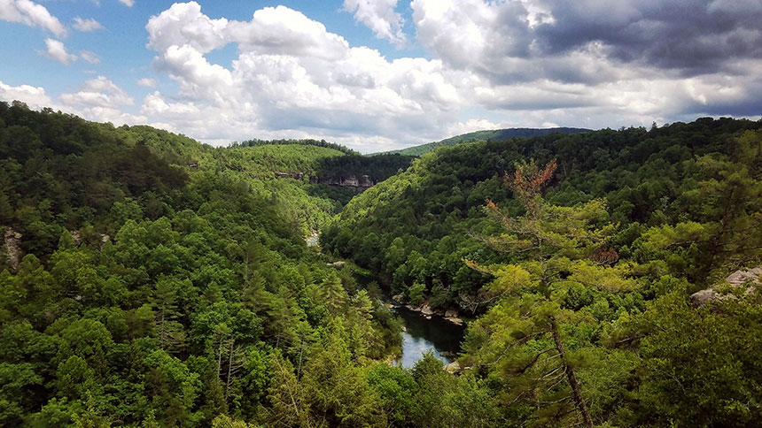 rountree_keely_lillybluff_landscape