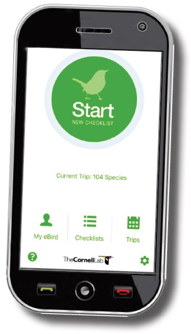 Smartphone with eBird app displayed.