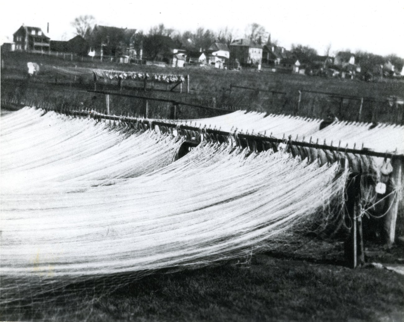 Fishing wire nets hung up in rows to dry on wooden posts.