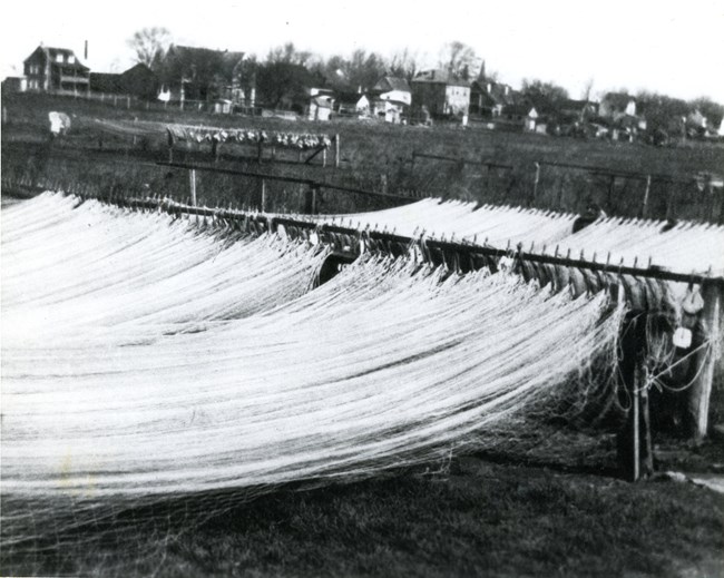 Fishing wire nets hung up in rows to dry on wooden posts.