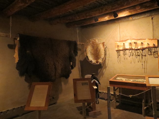A animal hide hangs in a museum exhibit.