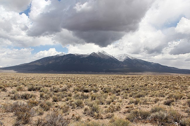desert shrubbery in the foreground, mountain peaks in background, with white and dark clouds