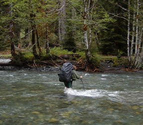 Hiker Fording a River