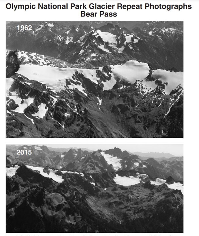 Text: Olympic National Park Glacier Repeat Photographs Bear Pass. Two views of the same snowy ridge line, labeled 1962 and 2015. The snowpack is greatly diminished in 2015.