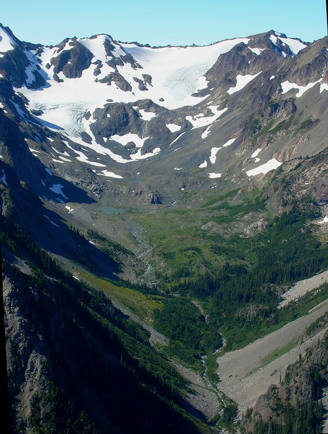 A glacier-capped peak, and a creek below winding through a valley of green grass and trees and grey rocky rubble.